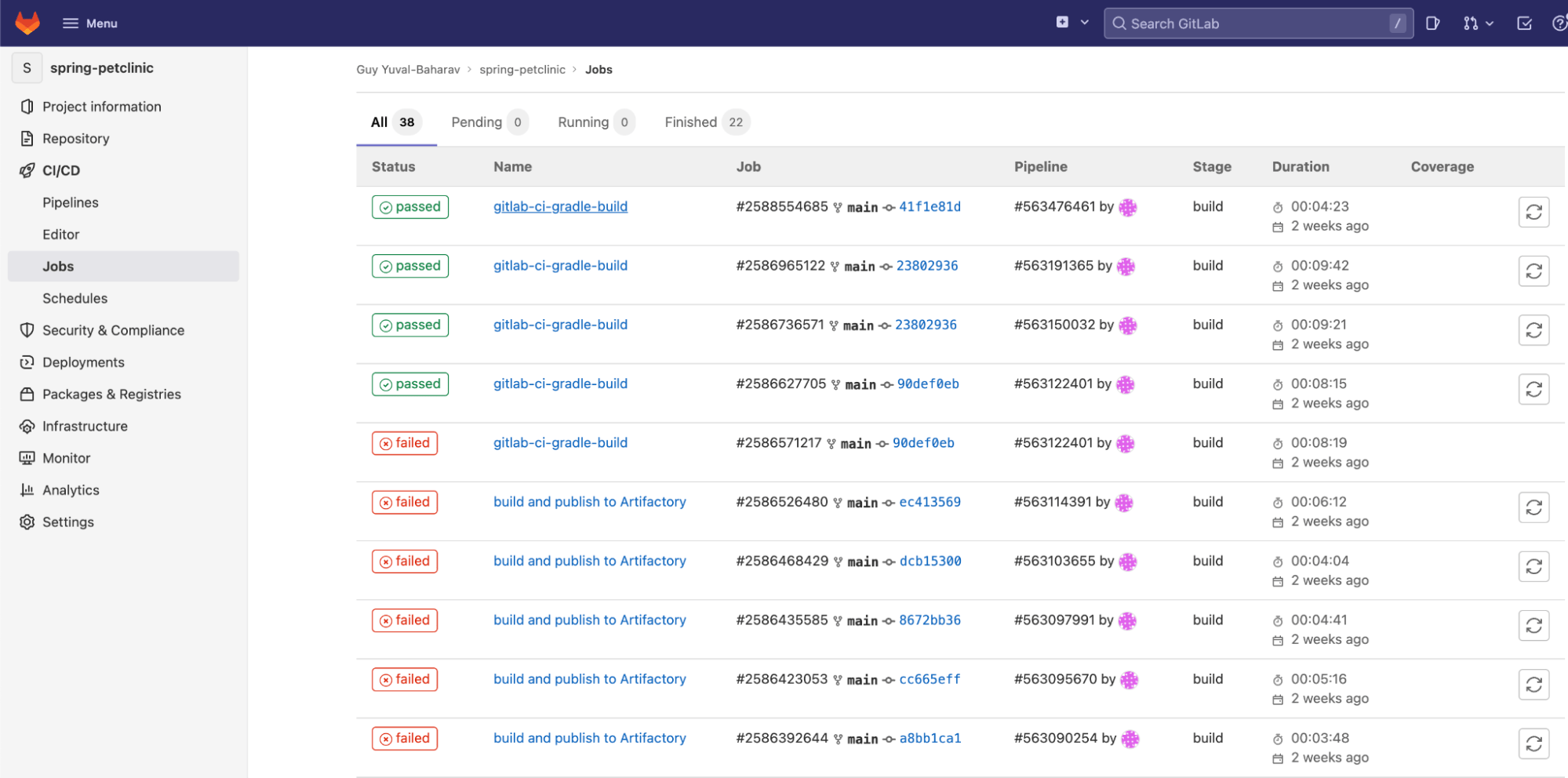 GitLab Job View