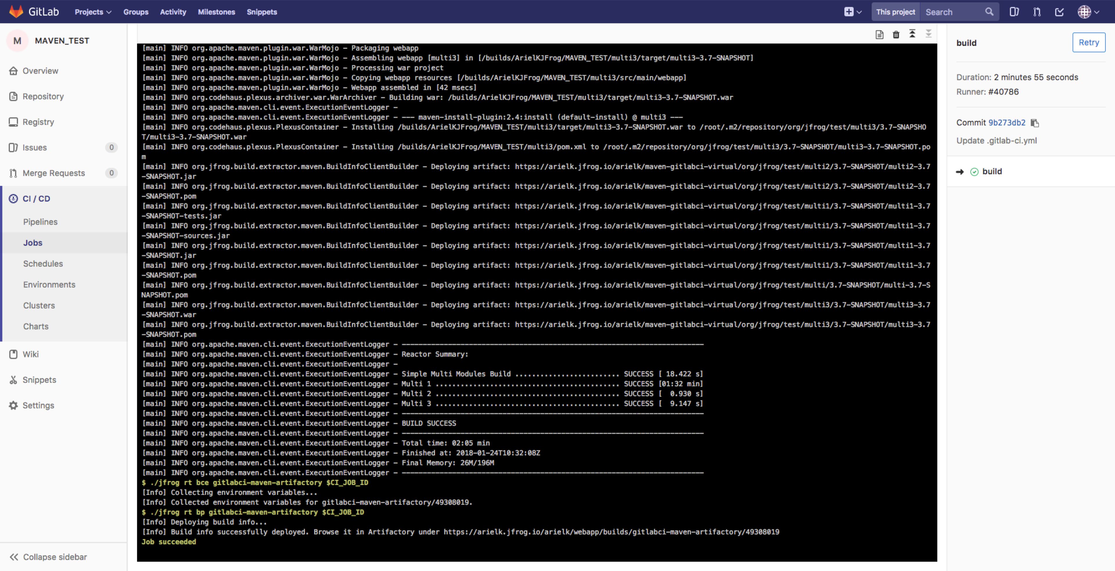 GitLab Job View