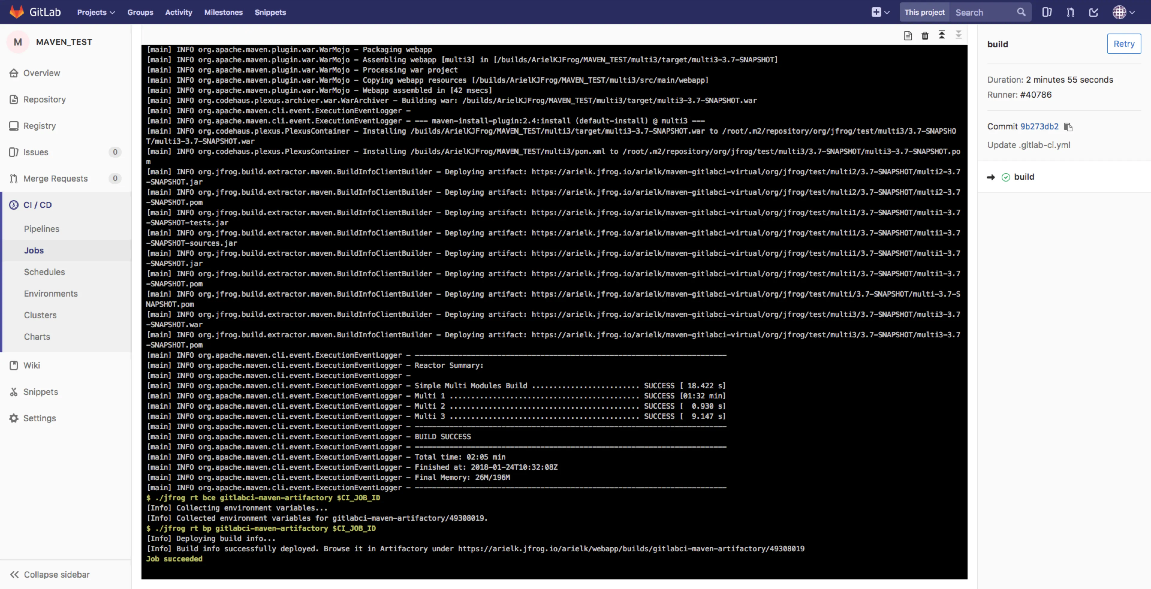 GitLab Job View