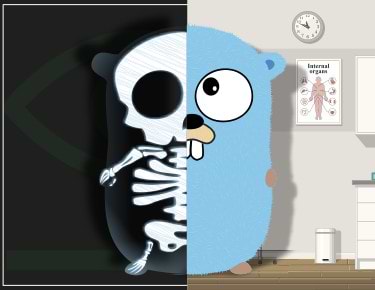 GoCenter Reveals Go Module Vulnerabilities With Xray