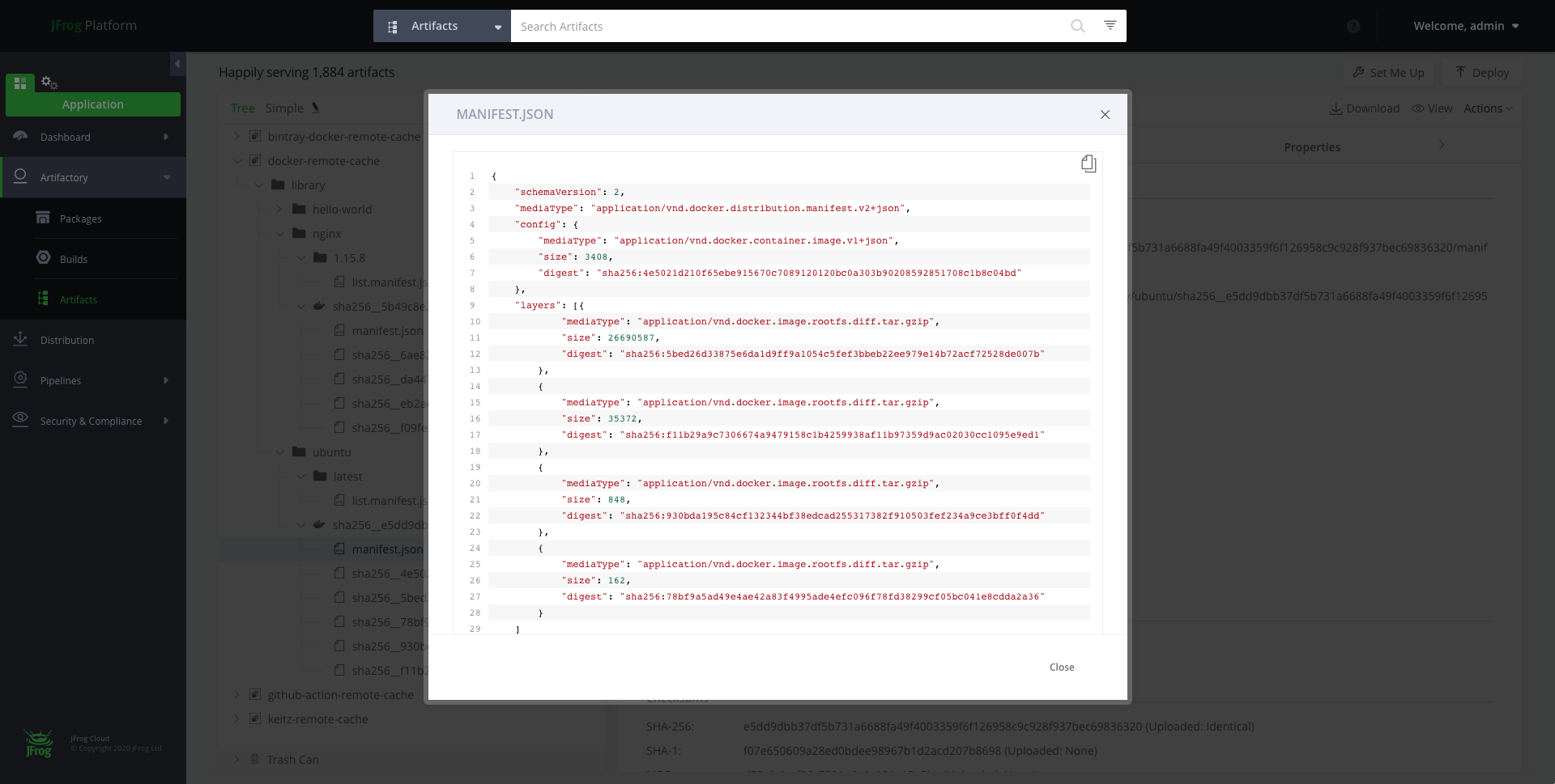 Manifest JSON file