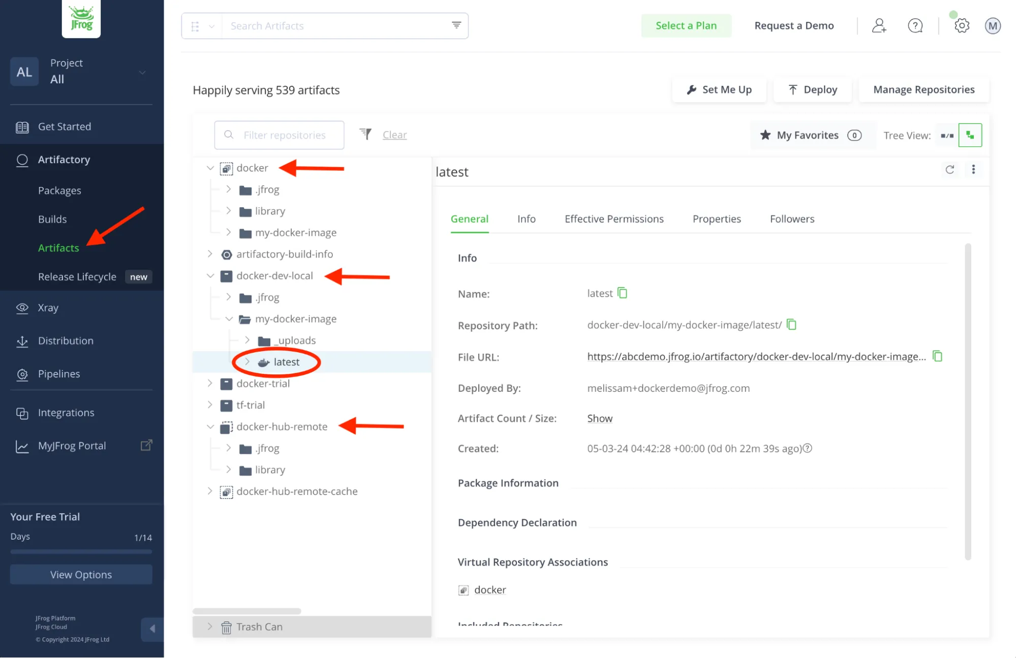 Step 8 - View the images in your Docker Registry