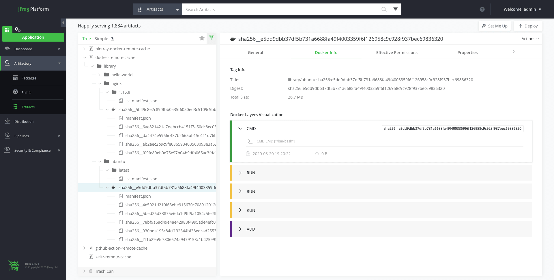 Docker info