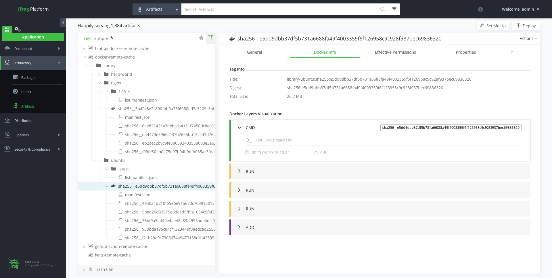 Docker info