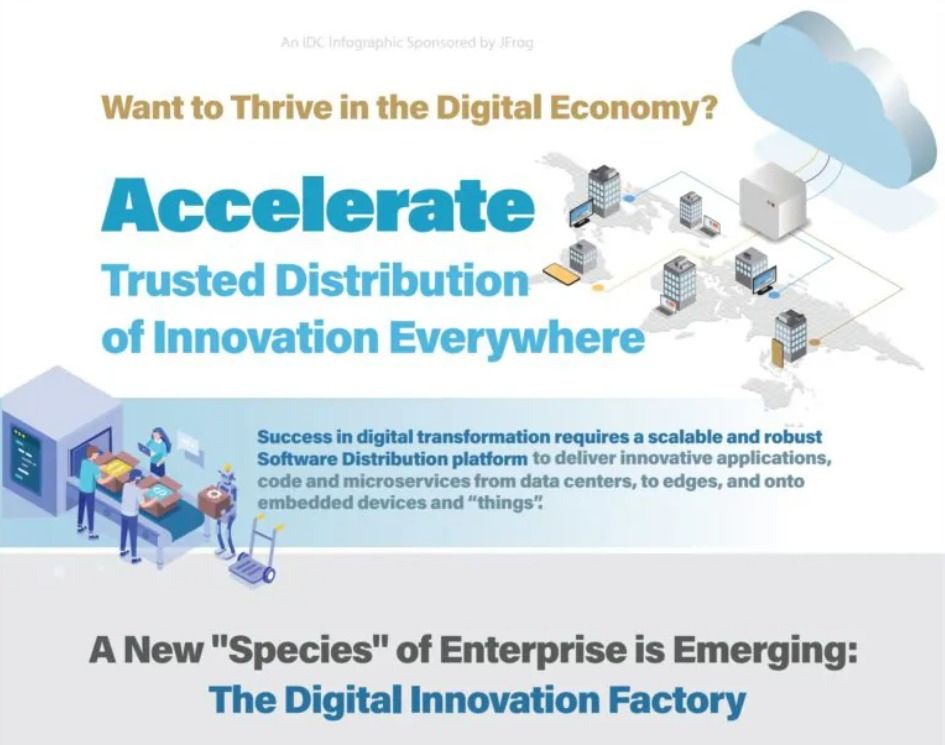 IDC software distribution infographic screenshot