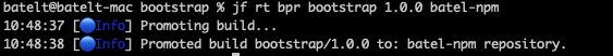 NPM-wiht-CLI-new-image2.png