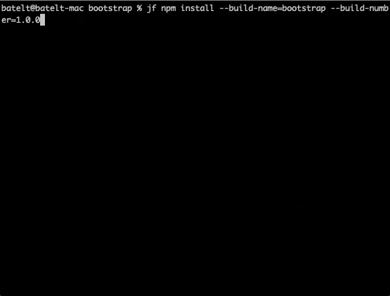npm-with-CLI-4.gif