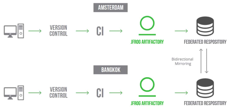 Bidirectional mirroring with federated repositories