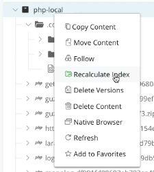 Re-index a PHP Composer repository