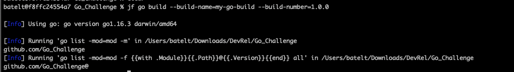 Build project and resolve project dependencies