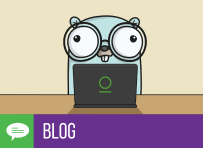 How to set up a Go Registry
