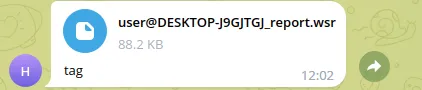 The leaked data received on Telegram