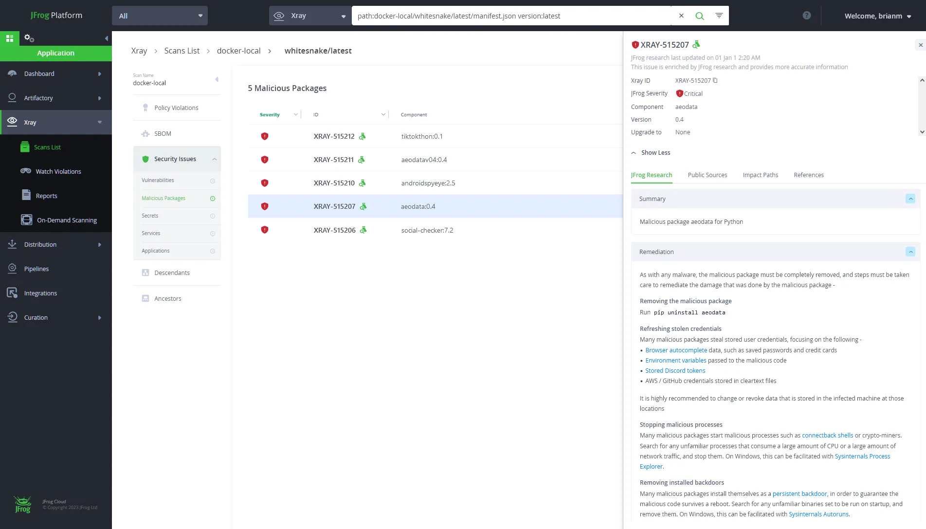 Improved Detection and remediation with JFrog Xray
