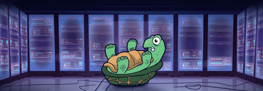 Terrapin Attack