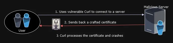 Curl and libcurl - Image1 v3