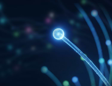 9 nouvelles innovations. Une couche de confiance.
