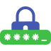 security muturity icon 3