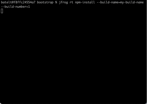 Install npm Packages