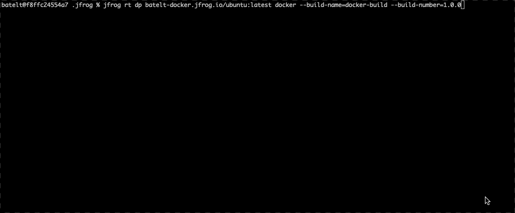 Build the Docker image