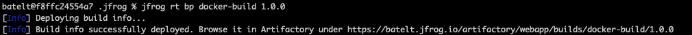Publish the build-info