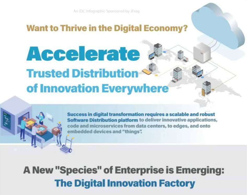 IDC software distribution infographic screenshot