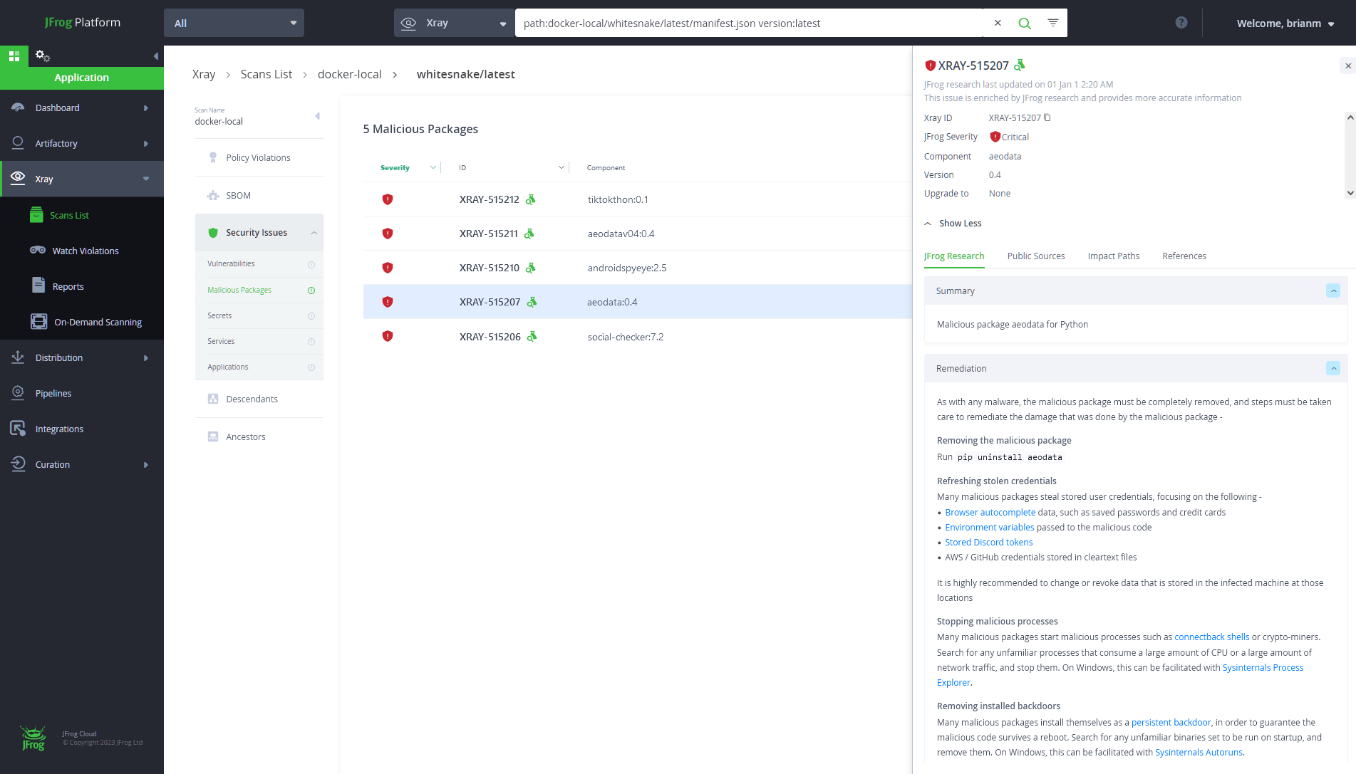 Improved Detection and remediation with JFrog Xray