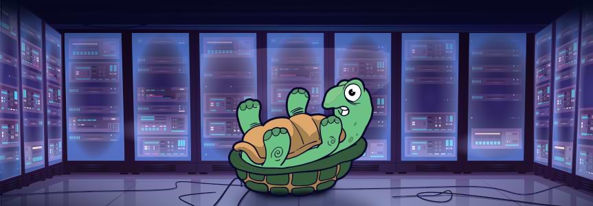Terrapin Attack