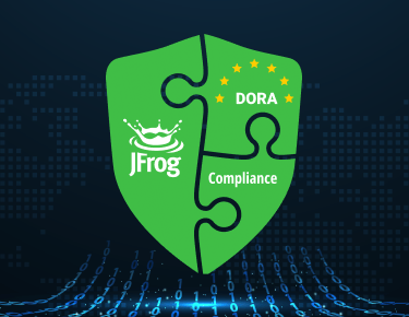 DORA-Compliance: Anforderungen an die Softwareentwicklung für Unternehmen im Finanzdienstleistungssektor