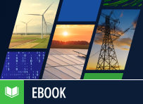 Managing and Securing Software Development in Energy Companies